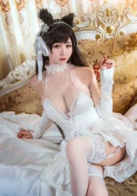 斗罗大陆免费观看全集